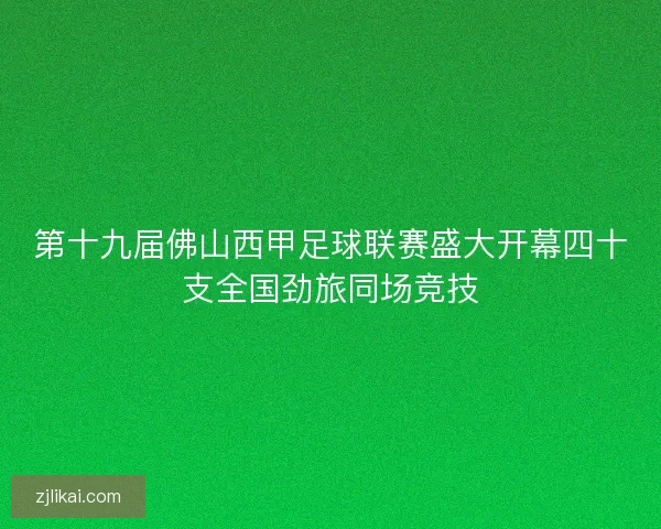 第十九届佛山西甲足球联赛盛大开幕四十支全国劲旅同场竞技