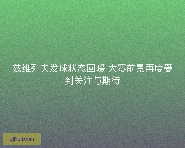 兹维列夫发球状态回暖 大赛前景再度受到关注与期待