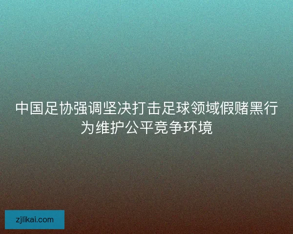 中国足协强调坚决打击足球领域假赌黑行为维护公平竞争环境